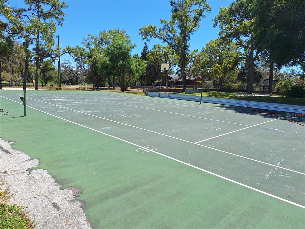9415 Indale Drive New Port Richey, FL 34654 - Photo 51 of 93 a view of a tennis court