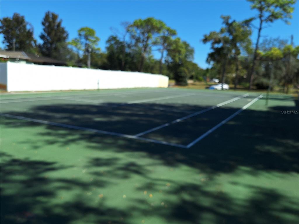 9415 Indale Drive New Port Richey, FL 34654 - Photo 52 of 93 a view of a field of grass and trees