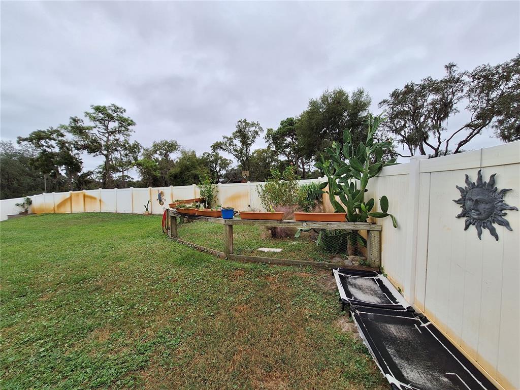 9415 Indale Drive New Port Richey, FL 34654 - Photo 58 of 93