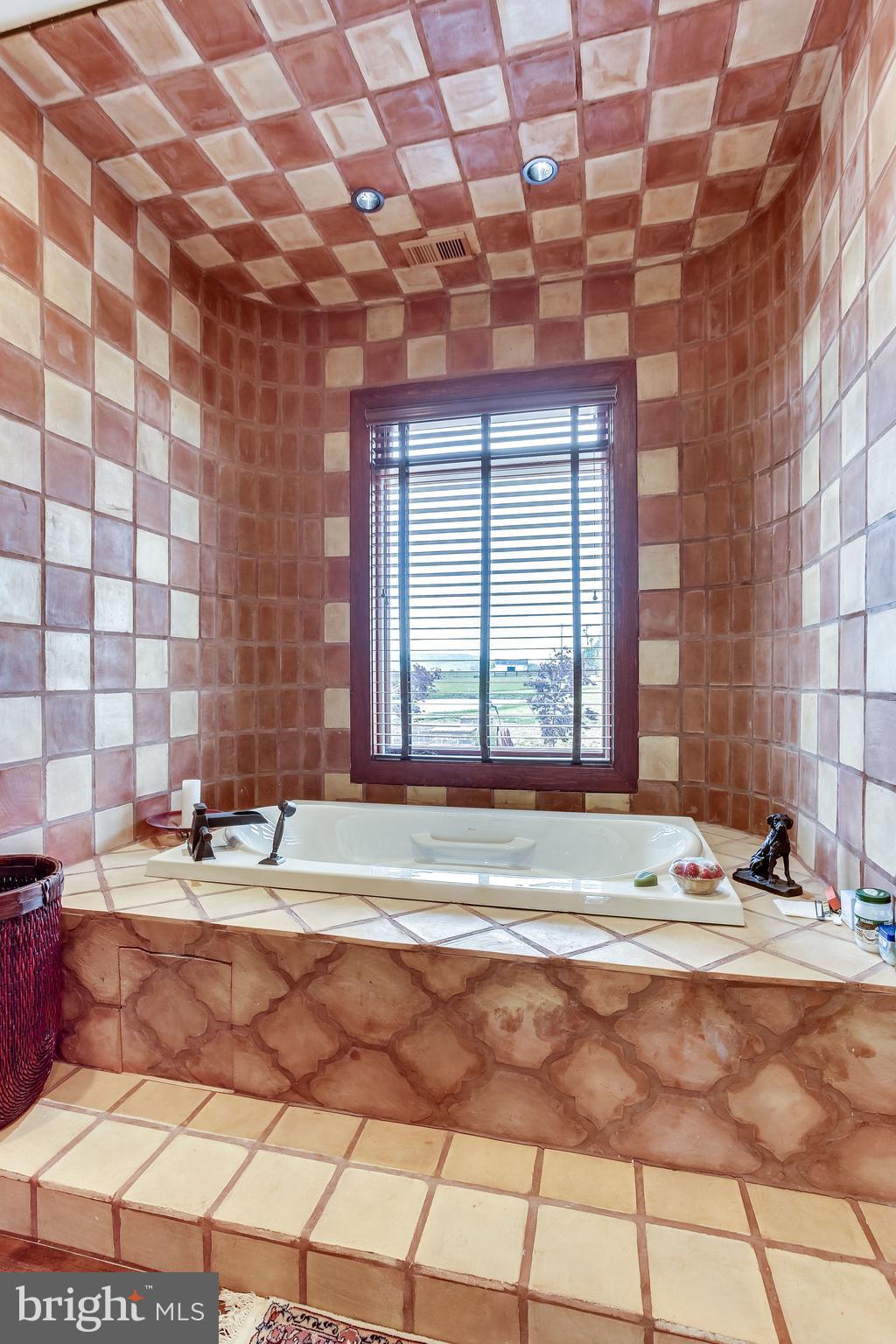 43093 Lucketts Road Leesburg, VA 20176 - Photo 33 of 80 Master Bath