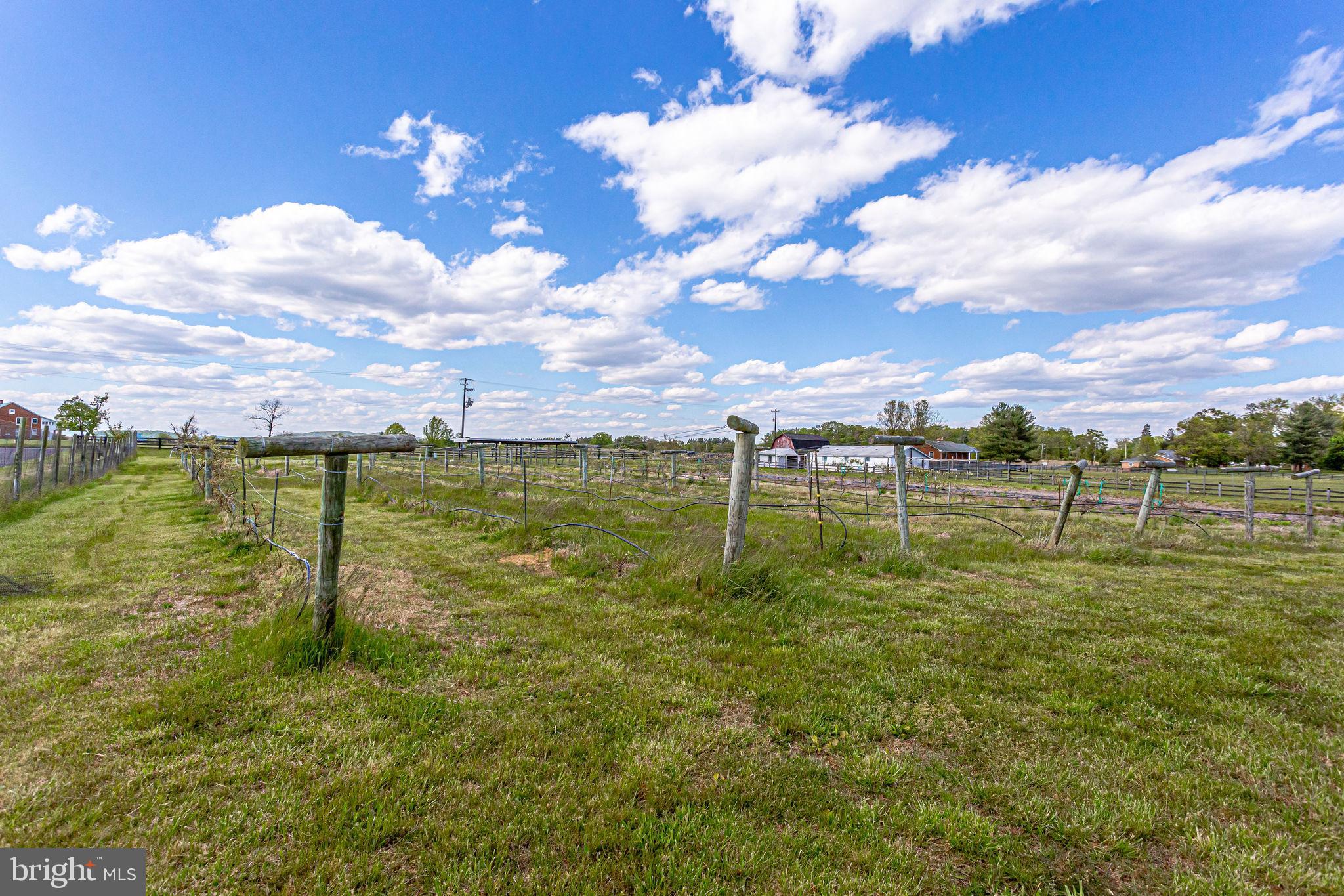 43093 Lucketts Road Leesburg, VA 20176 - Photo 65 of 80 Lot
