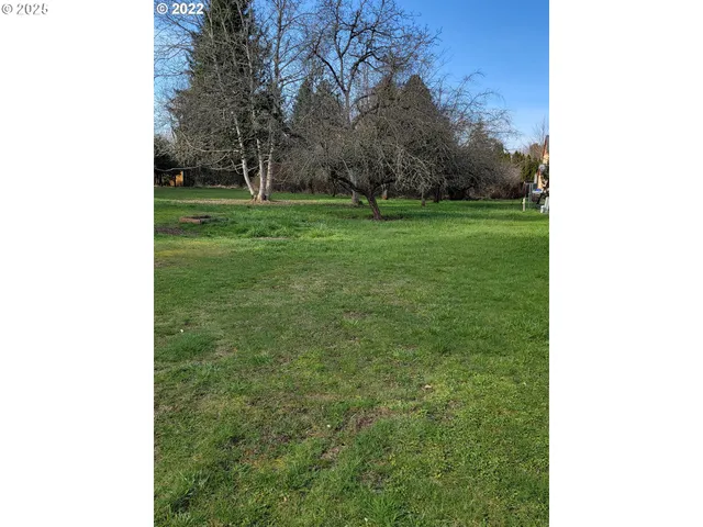 a view of a yard in front of a house