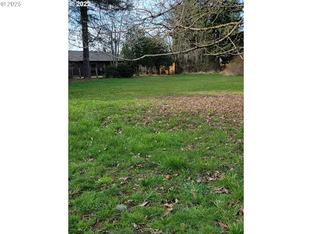 a view of a yard with a tree