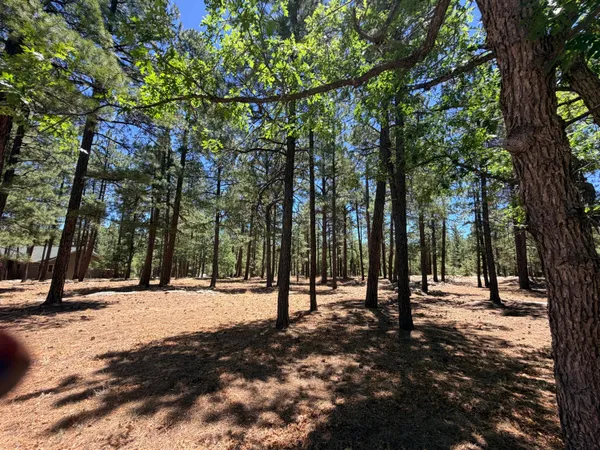 $64,000 | 4215 Apache Drive, Happy Jack, AZ 86024