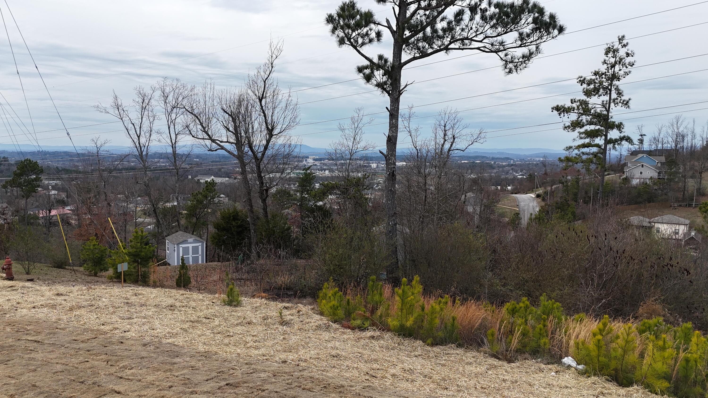 2349 Jennifer Drive Chattanooga, TN 37421 - Photo 23 of 24 C0BAD341-BD19-44CB-A380-9FA5DA44EA9A