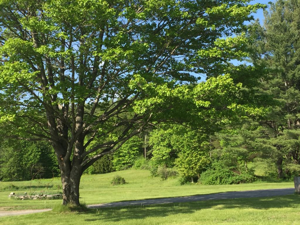93 Reservoir Road Springfield, VT 05156 - Photo 25 of 30