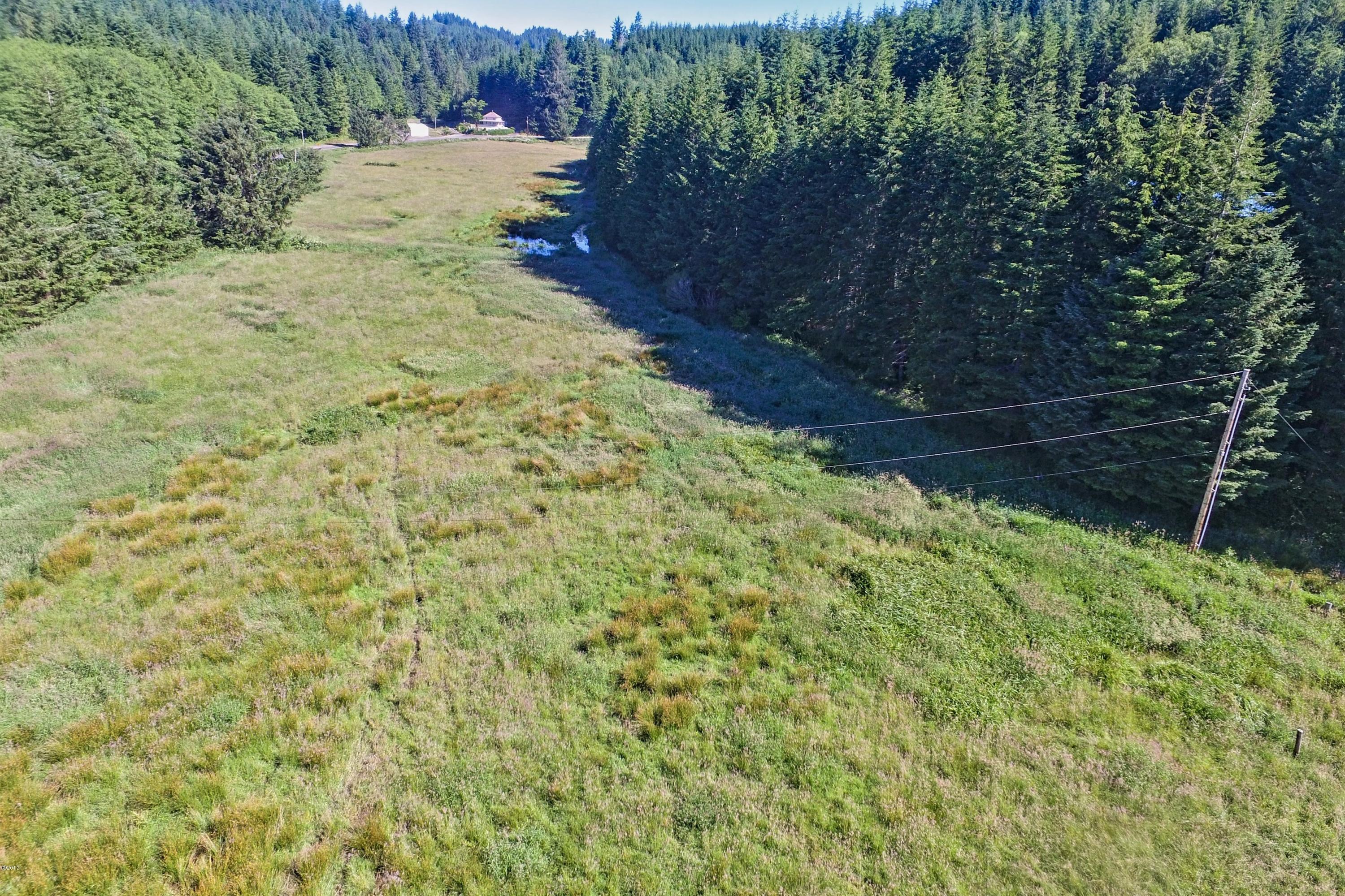 372 Fruitvale Road Newport, OR 97365 - Photo 31 of 31 Pasture