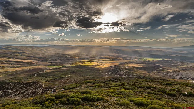 a view of yard with wooden floor