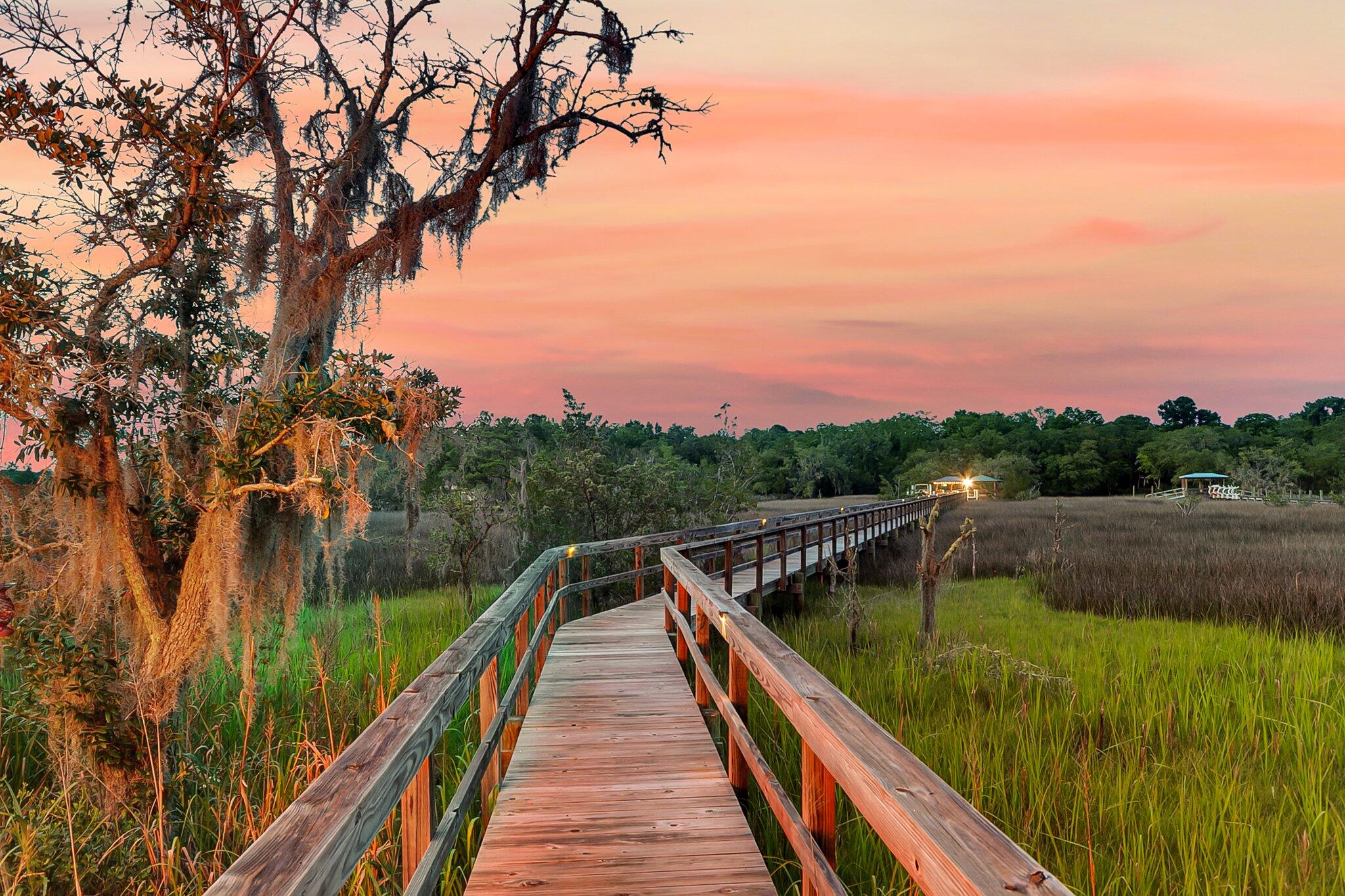 4385 Ten Shillings Way Ravenel, SC 29470 - Photo 19 of 94 CREM - 4385 Ten Shillings - twilight-14