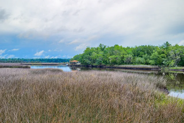 $2,400,000 | 4385 Ten Shillings Way, Ravenel, SC 29470