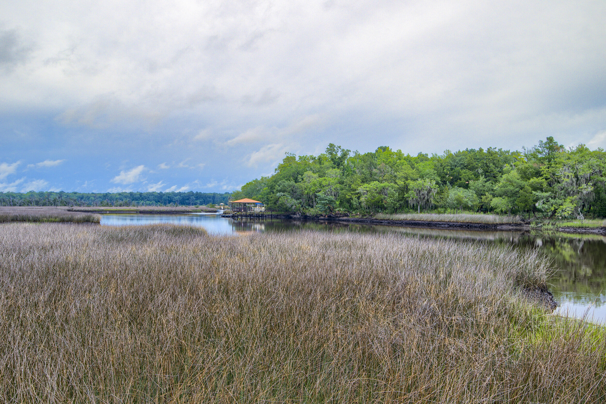4385 Ten Shillings Way Ravenel, SC 29470 - Photo 21 of 94 DSC_4950-HDR(5)