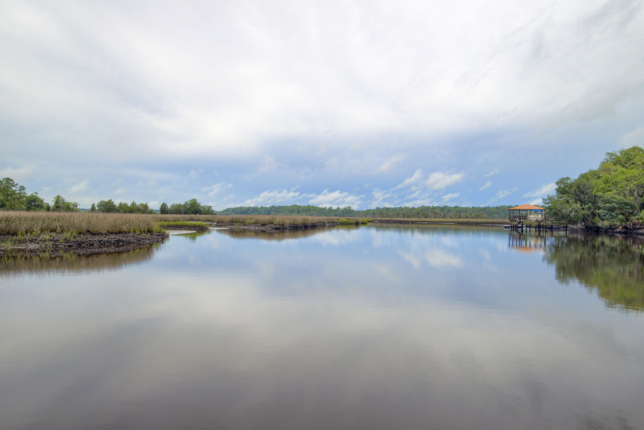 4385 Ten Shillings Way Ravenel, SC 29470 - Photo 76 of 94 DSC_4965-HDR(5)