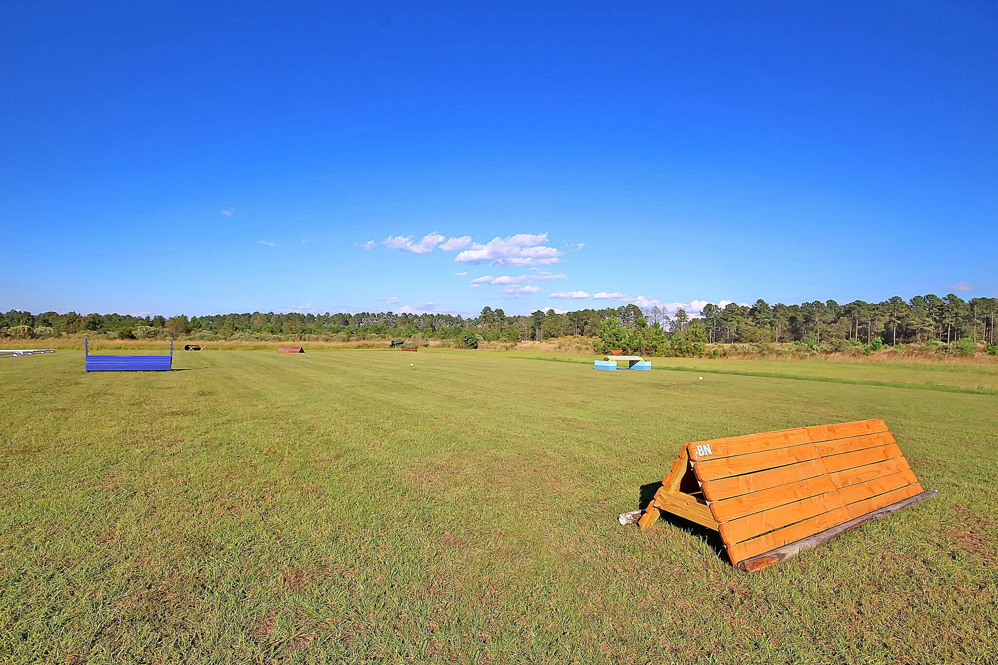 4385 Ten Shillings Way Ravenel, SC 29470 - Photo 90 of 94 IMG_1122 copy