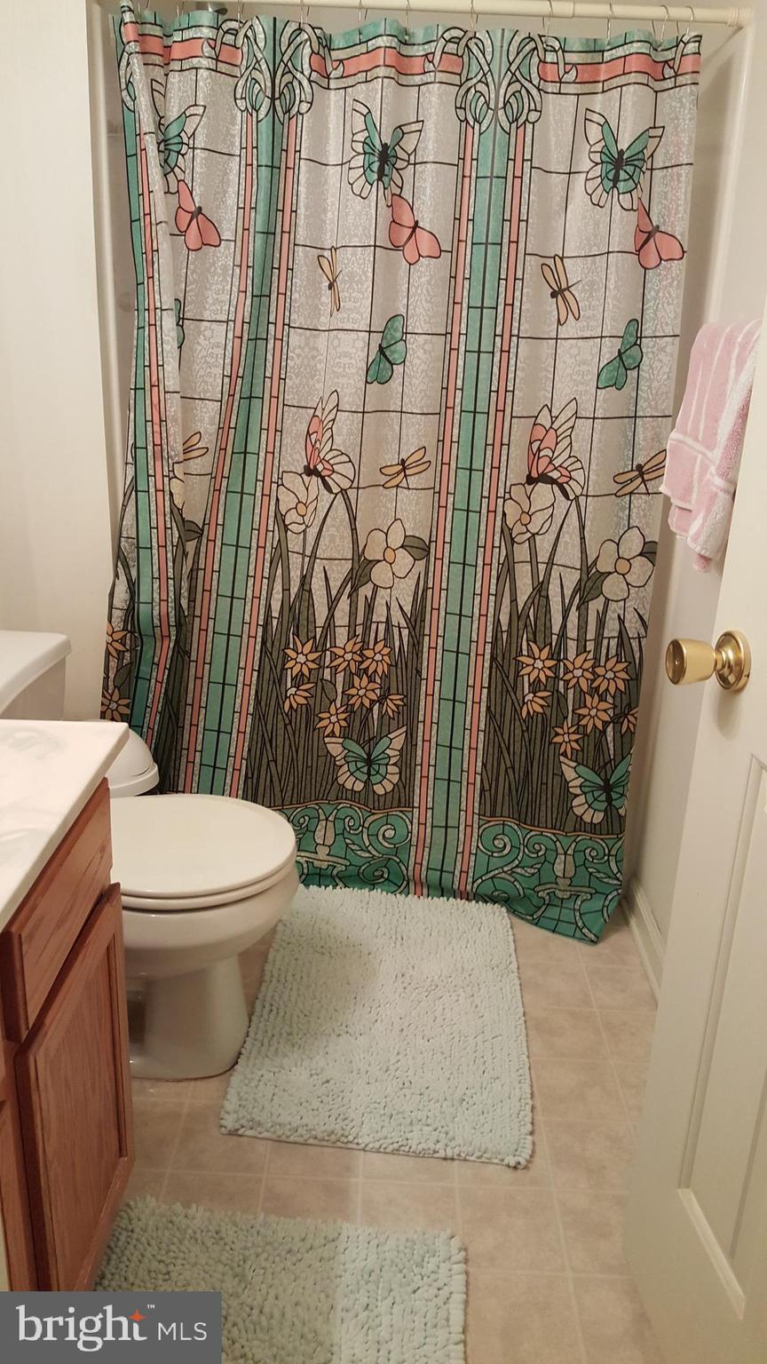 623 Brandon Road Jeffersonville, PA 19403 - Photo 12 of 24 Master Bath w/Shower