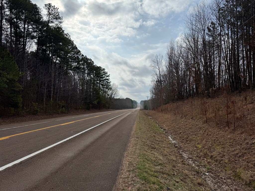 696 Williams Grove Road Camden, TN 38320 - Photo 3 of 10