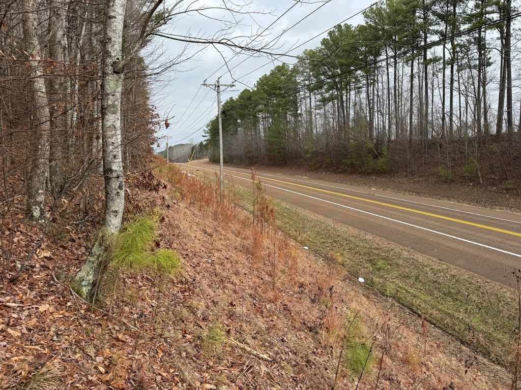 696 Williams Grove Road Camden, TN 38320 - Photo 4 of 10