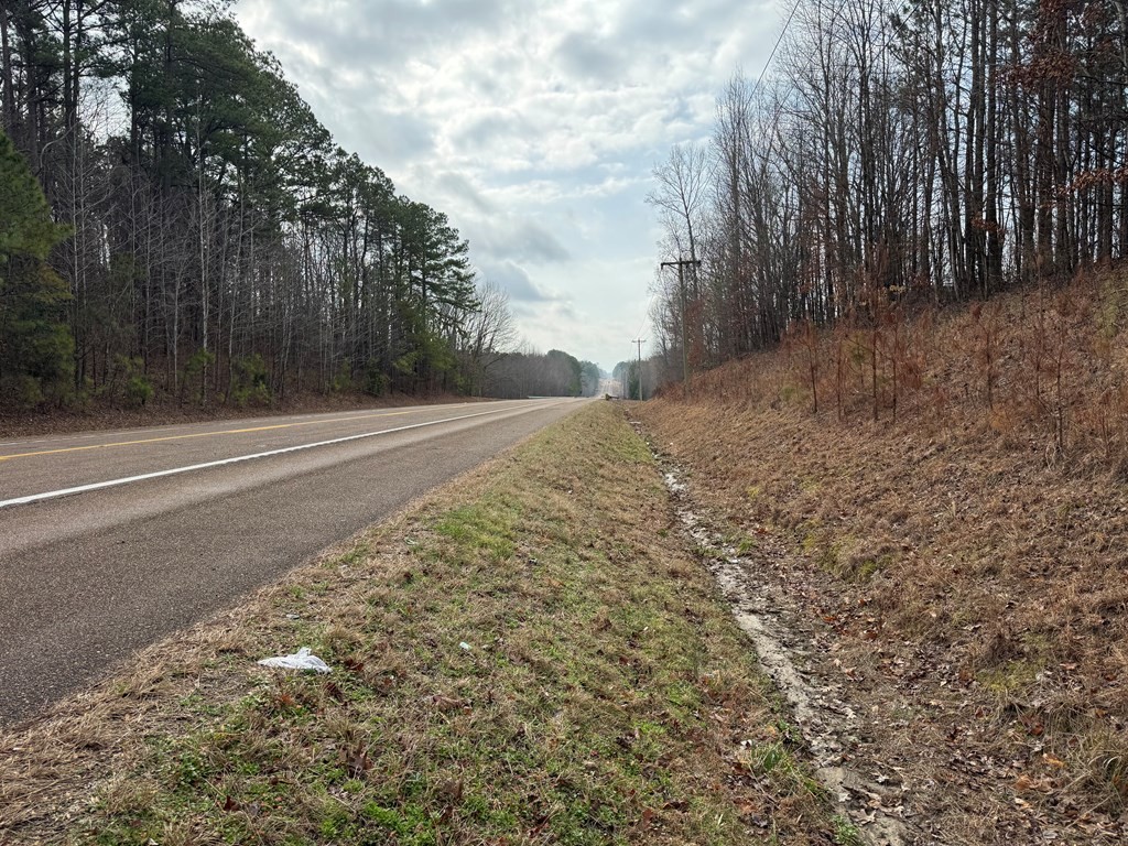696 Williams Grove Road Camden, TN 38320 - Photo 5 of 10