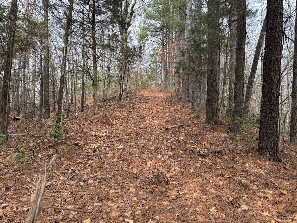 696 Williams Grove Road Camden, TN 38320 - Photo 6 of 10