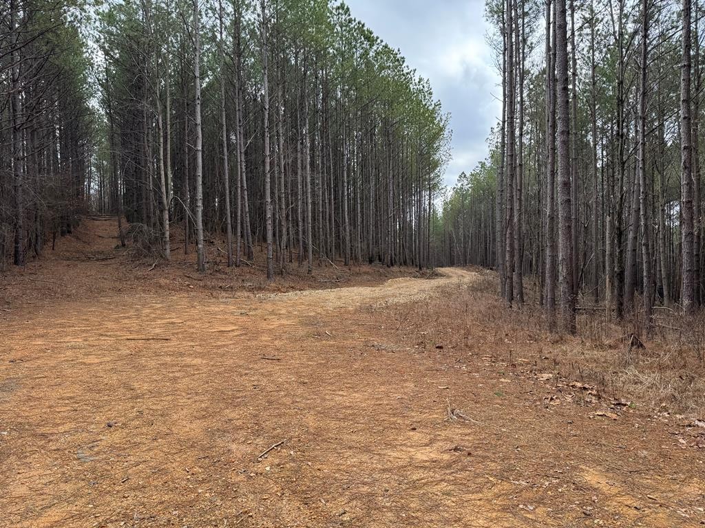 696 Williams Grove Road Camden, TN 38320 - Photo 10 of 10