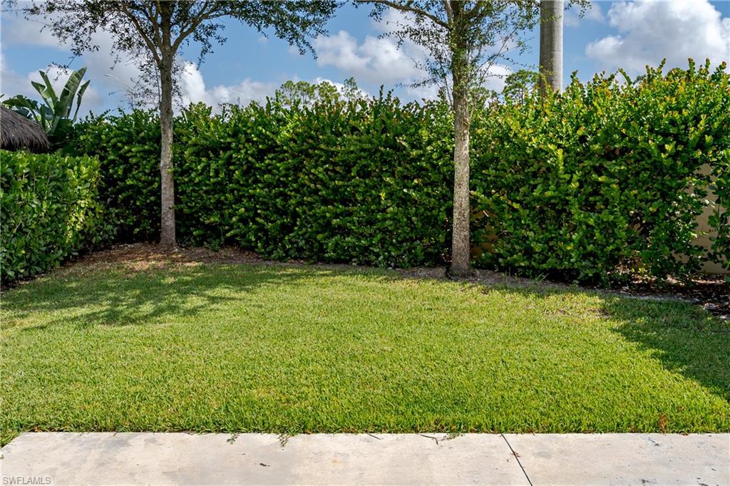 13611 Snook Circle Naples, FL 34114 - Photo 17 of 47 a view of backyard with green space