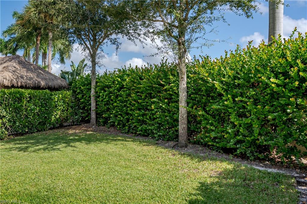 13611 Snook Circle Naples, FL 34114 - Photo 18 of 47 a view of a yard with plants and trees