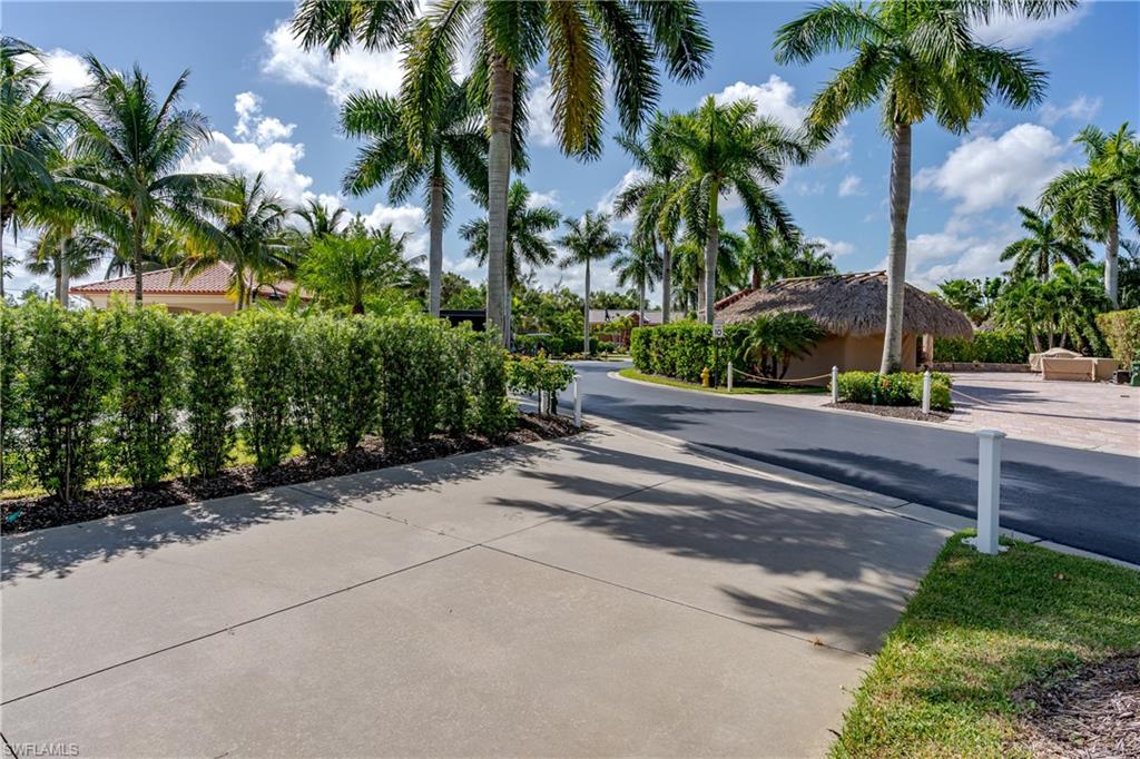 13611 Snook Circle Naples, FL 34114 - Photo 39 of 47 a palm tree sitting on the side of a road