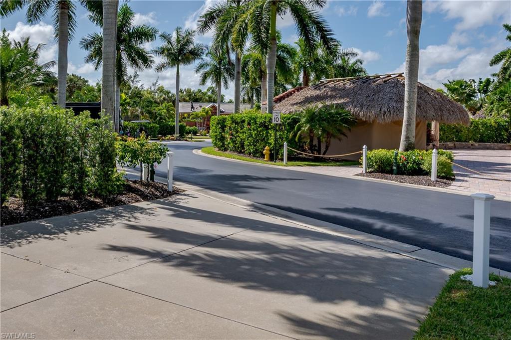 13611 Snook Circle Naples, FL 34114 - Photo 40 of 47 a couple of palm trees sitting in a yard with potted plants