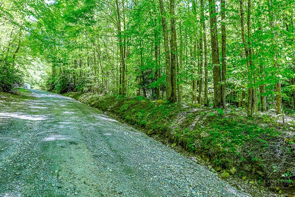 Buckeye Ridge Road Beech Mountain, NC 28604 - Photo 4 of 14