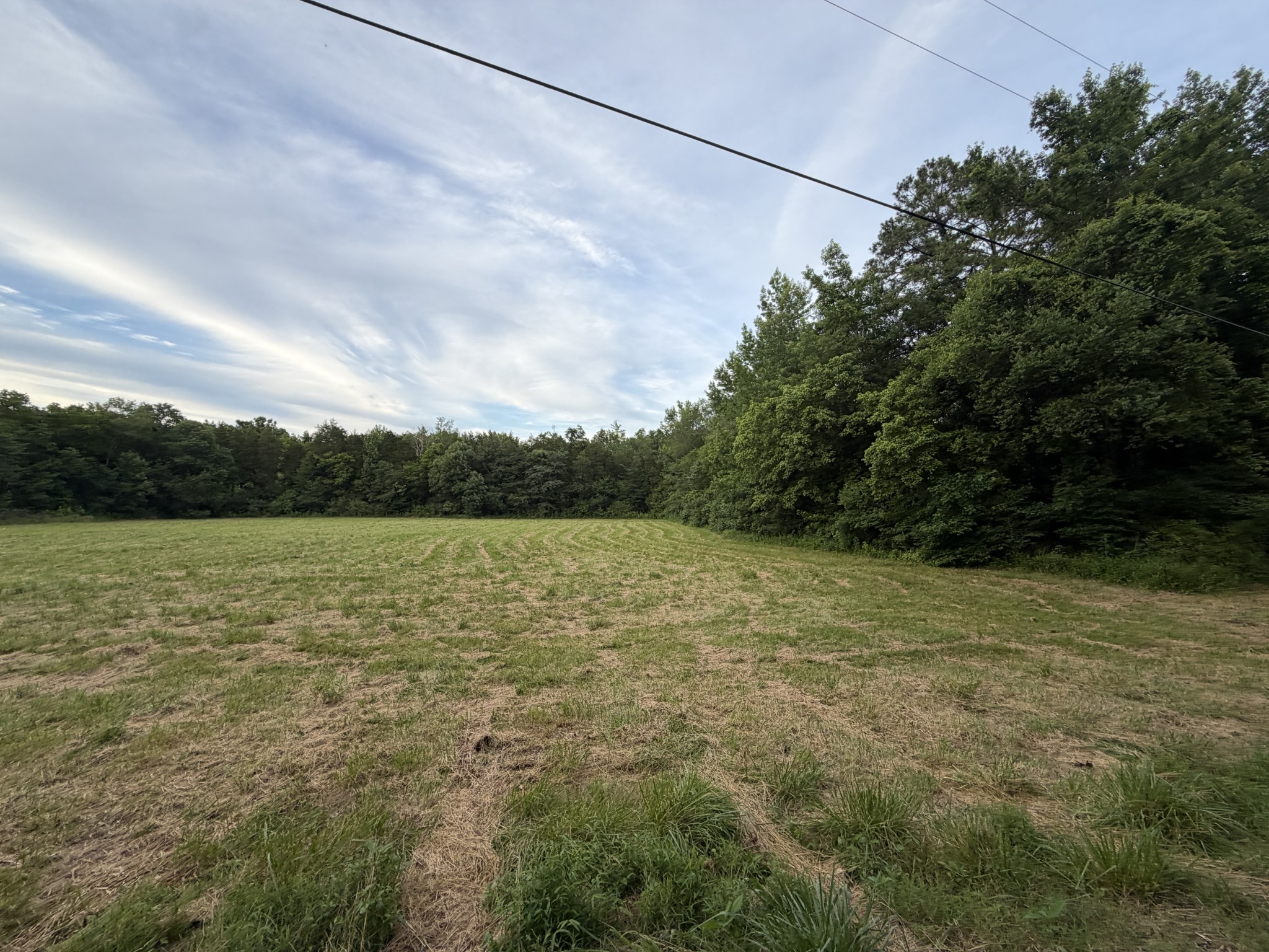0 Dry Branch Road Holladay, TN 38341 - Photo 11 of 17