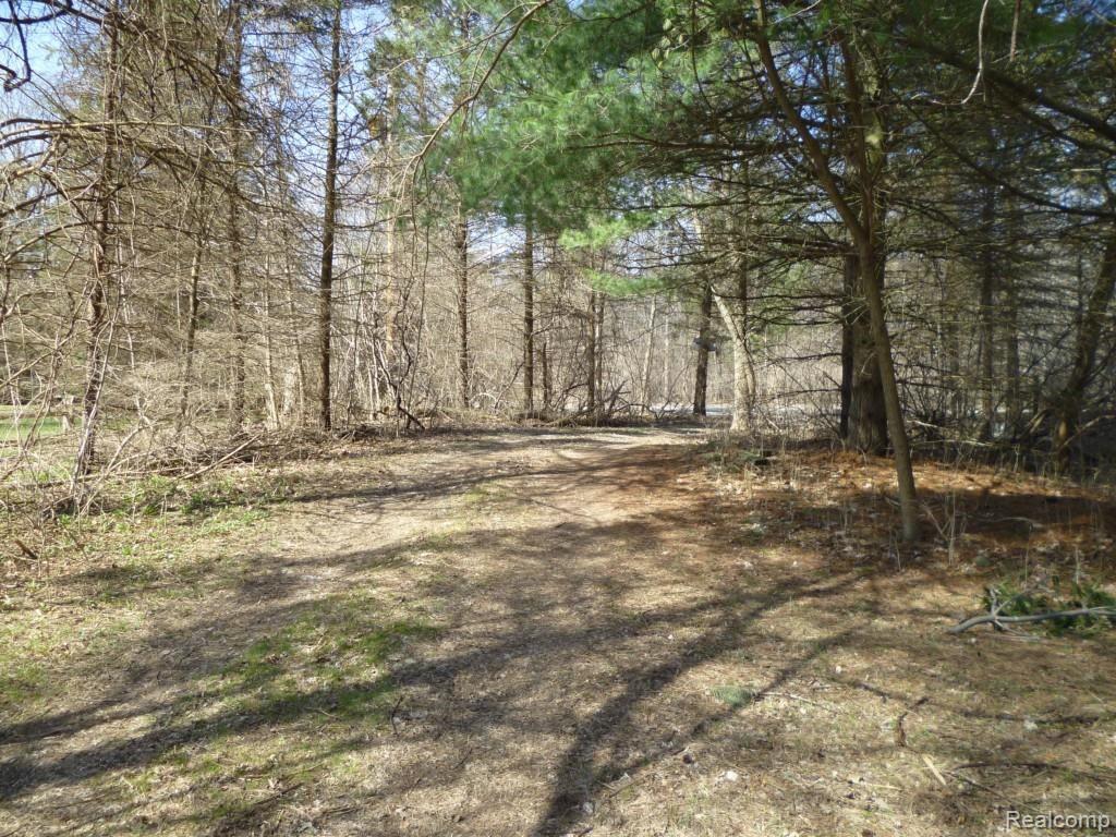 0 Campground Road Romeo, MI 48065 - Photo 13 of 19 P1000824.jpg
