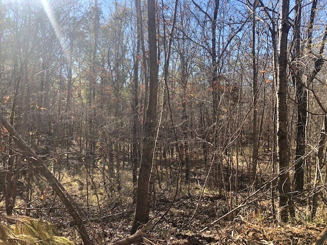 0 Windy Hill Road Roxie, MS 39661 - Photo 20 of 64 Photo 20