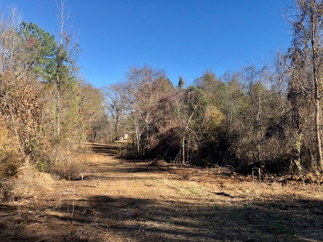 0 Windy Hill Road Roxie, MS 39661 - Photo 54 of 64 Photo 54