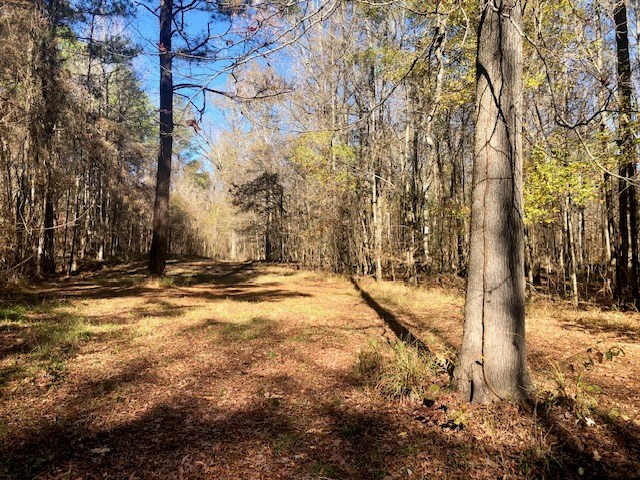 0 Windy Hill Road Roxie, MS 39661 - Photo 8 of 64 Photo 8