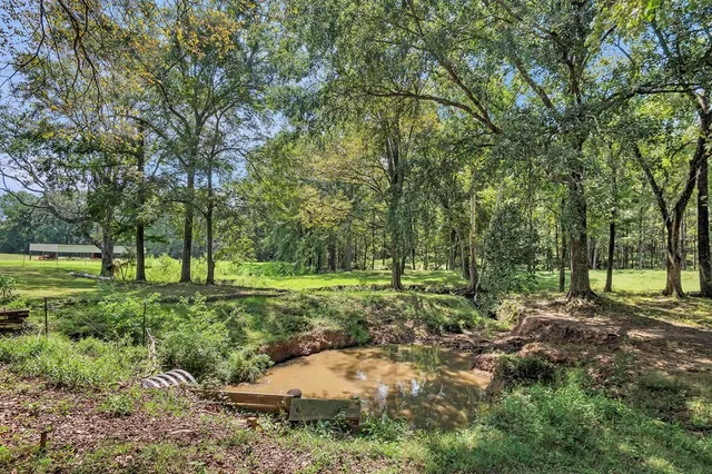 a big yard with lots of green space and trees