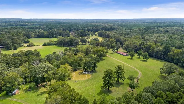 an aerial view of green landscape with trees houses and mountain view