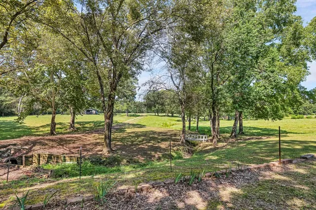 a view of a park with large trees