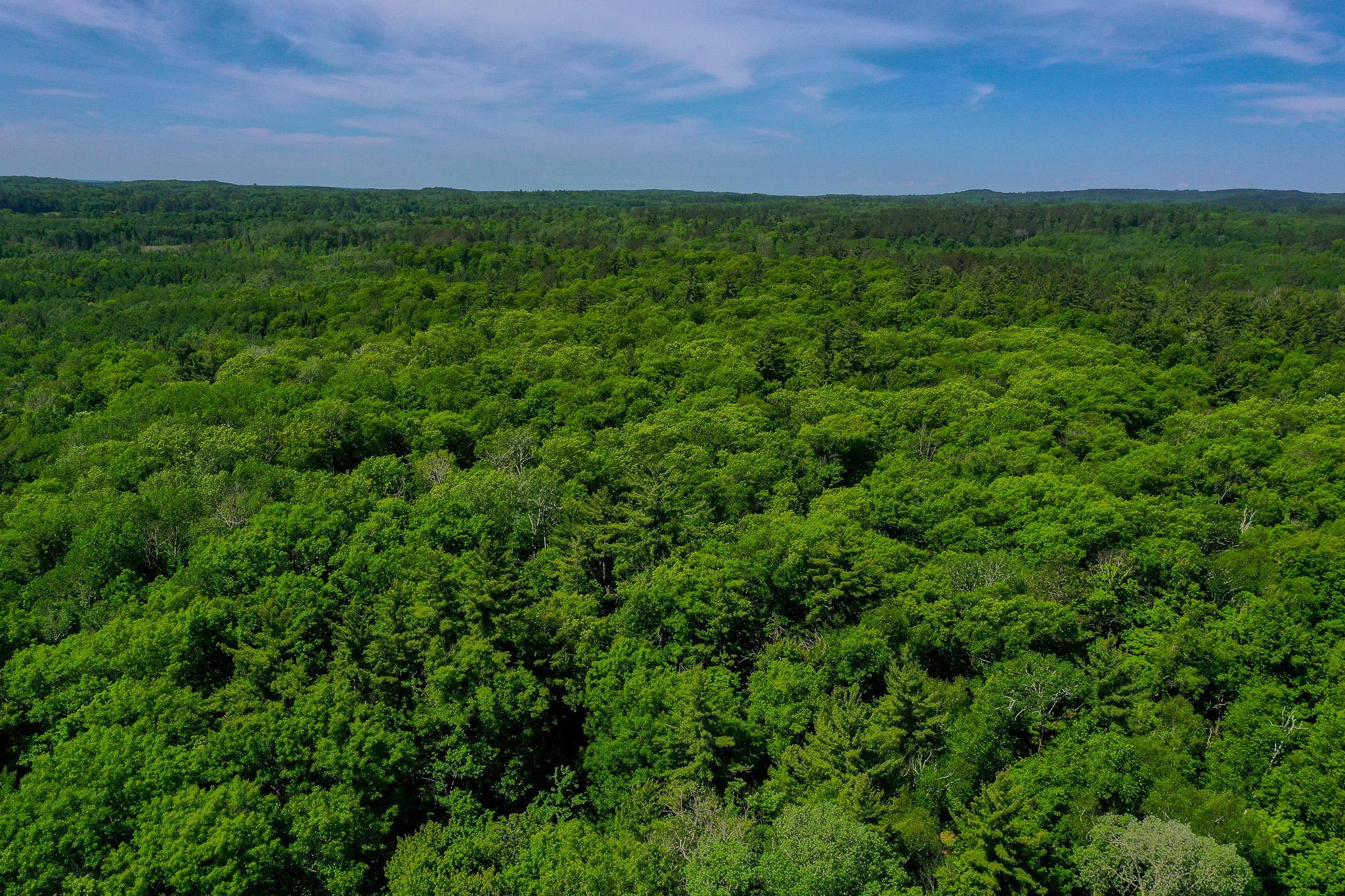 47 Co Highway 47 Osage, MN 56570 - Photo 12 of 59