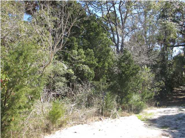 1203 Jungle Road Edisto Beach, SC 29438 - Photo 1 of 2 Primary Photo