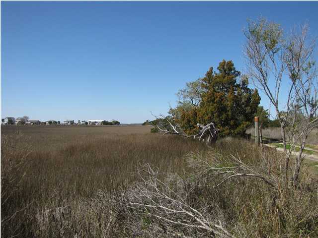 1203 Jungle Road Edisto Beach, SC 29438 - Photo 2 of 2 Additional Photo
