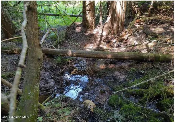 $65,000 | 317 East Ridge Road, St. Maries, ID 83861