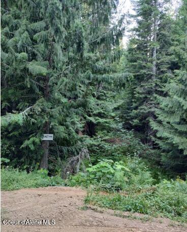 317 East Ridge Road St. Maries, ID 83861 - Photo 2 of 10 Property access