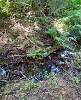 $65,000 | 317 East Ridge Road, St. Maries, ID 83861