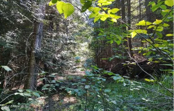 $65,000 | 317 East Ridge Road, St. Maries, ID 83861