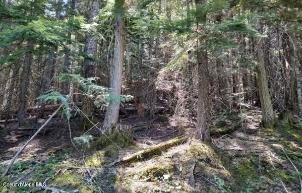 $65,000 | 317 East Ridge Road, St. Maries, ID 83861