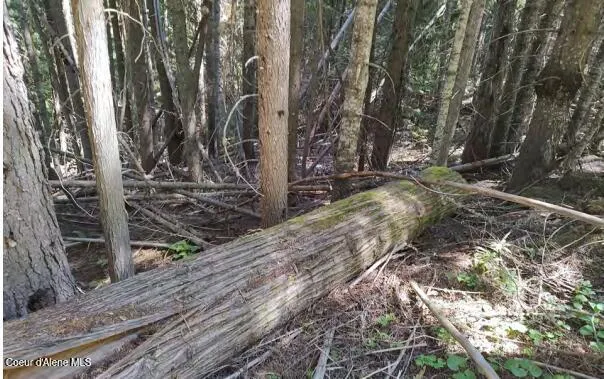 $65,000 | 317 East Ridge Road, St. Maries, ID 83861