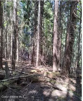 $65,000 | 317 East Ridge Road, St. Maries, ID 83861