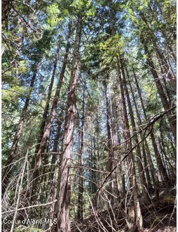 $65,000 | 317 East Ridge Road, St. Maries, ID 83861