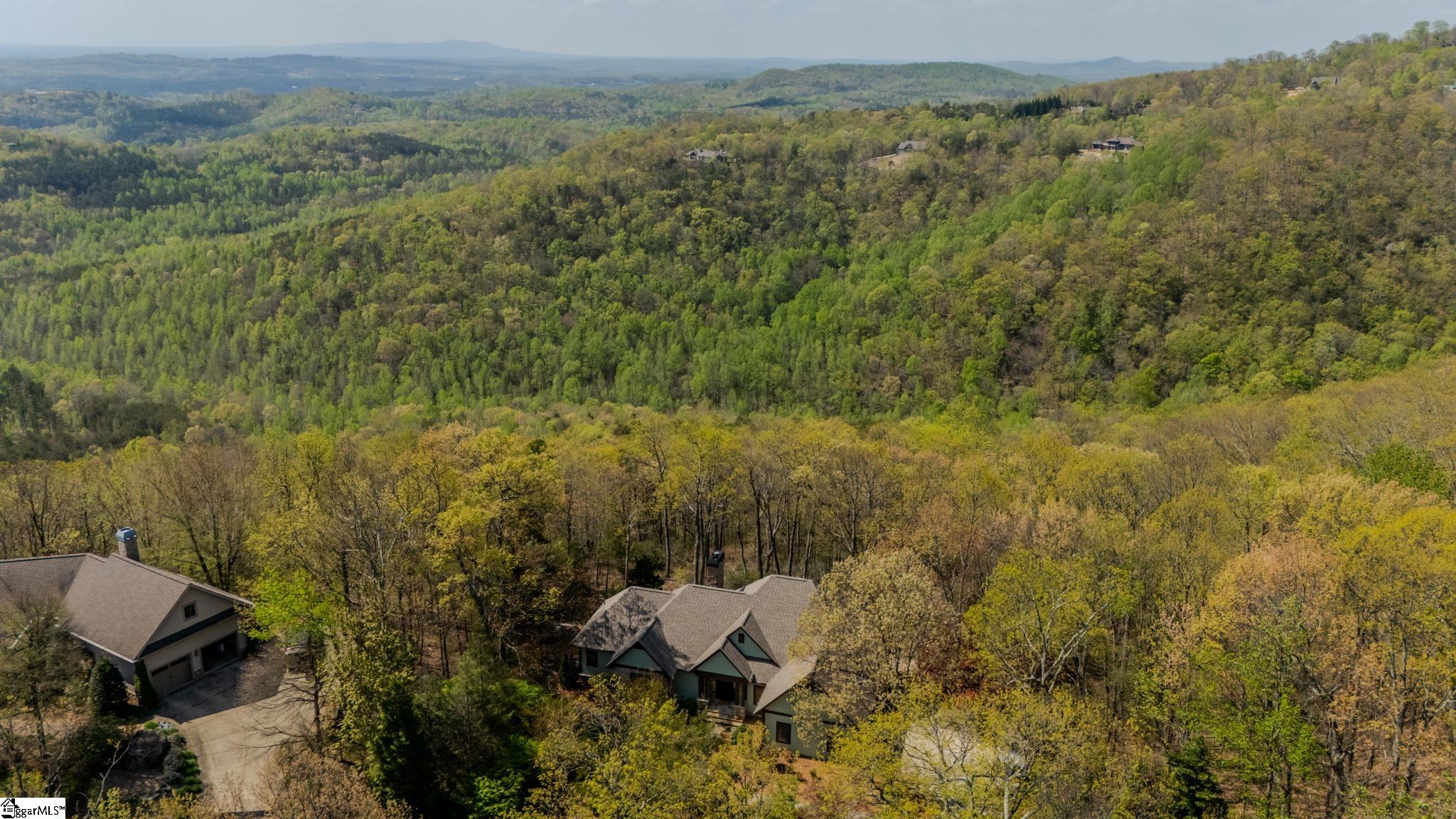 202 Eagle Rock Road Landrum, SC 29356 - Photo 50 of 50