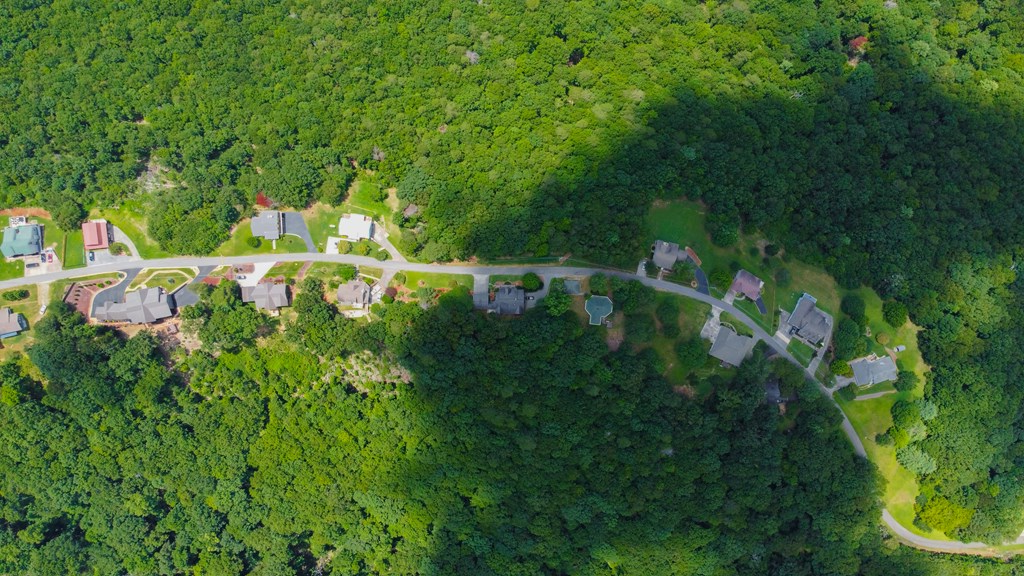 Lot 34 Talona Mountain Road Ellijay, GA 30536 - Photo 12 of 15