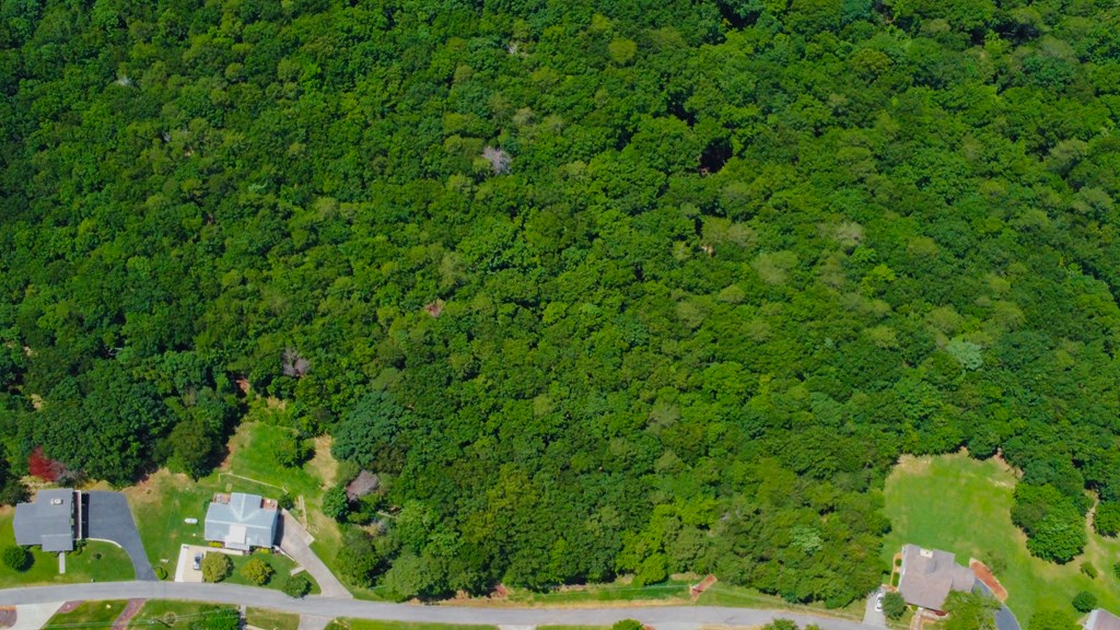 Lot 34 Talona Mountain Road Ellijay, GA 30536 - Photo 3 of 15